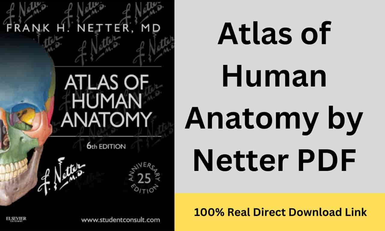 Atlas Of Human Anatomy By Netter PDF Free Download