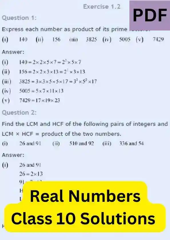 Real Numbers Class 10 Solutions