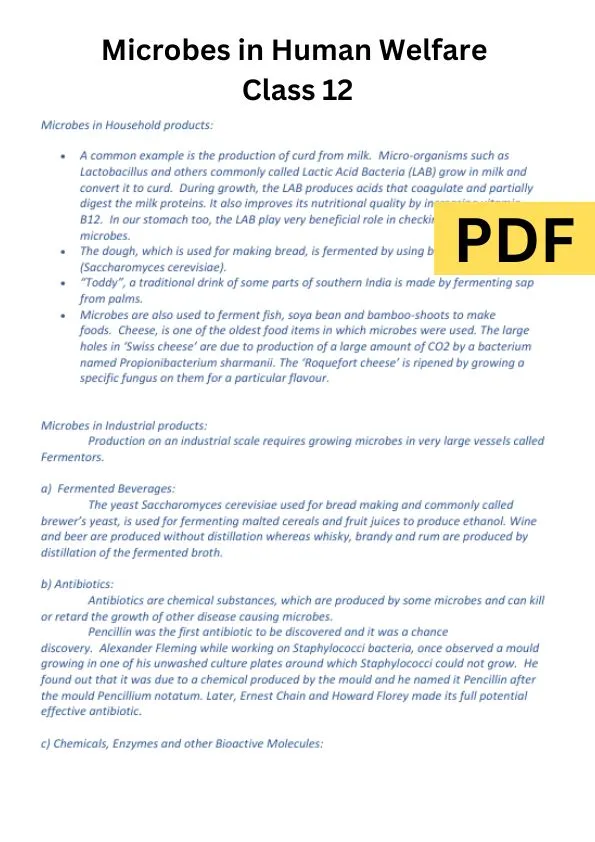 Microbes in Human Welfare Class 12 Notes