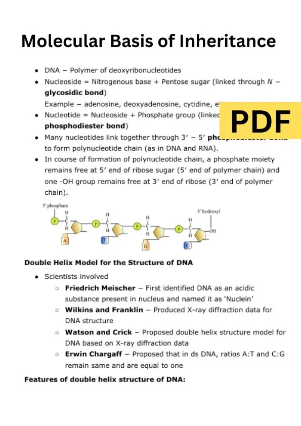 Molecular Basis of Inheritance Class 12 Notes