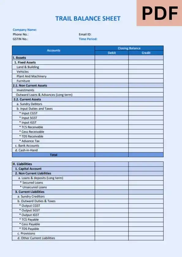 Trial Balance Format